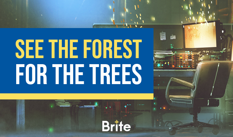 See The Forest For The Trees - Brite